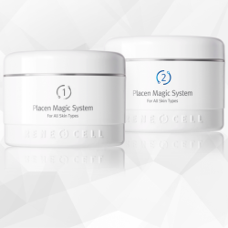 Placen Magic System